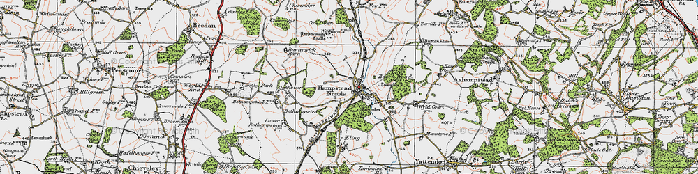 Old map of Hampstead Norreys in 1919