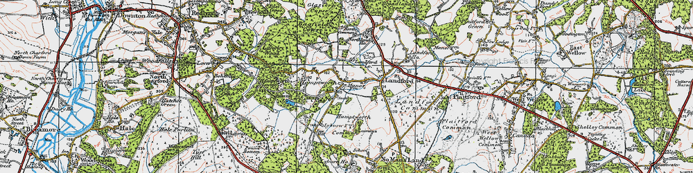 Old map of Hamptworth in 1919