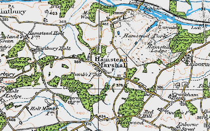Old map of Hamstead Marshall in 1919