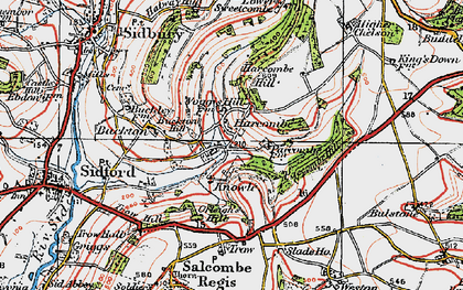 Old map of Buckton Hill in 1919