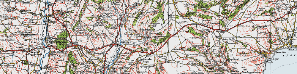 Old map of Buddlehayes in 1919