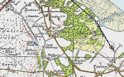 Old map of Hardley in 1919