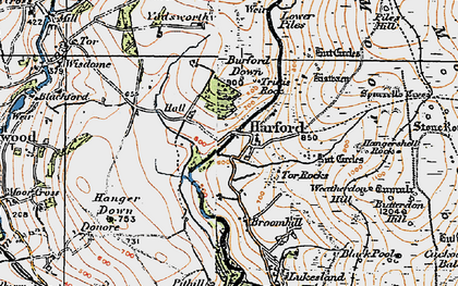 Old map of Burford Down in 1919