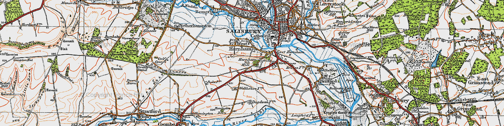 Old map of Harnham in 1919