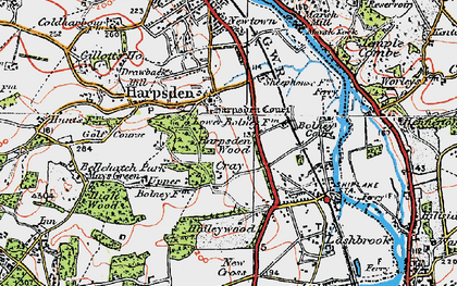 Old map of Harpsden in 1919