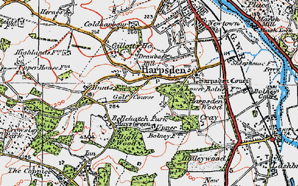 Old map of Harpsden Bottom in 1919