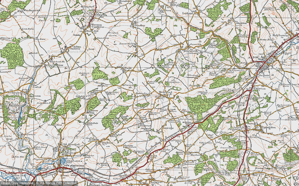 Old Map of Hattingley, 1919 in 1919