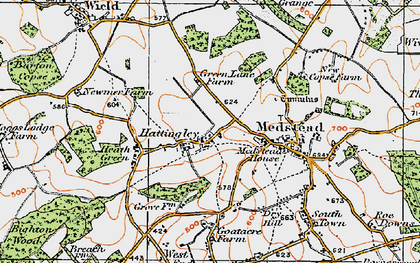 Old map of Hattingley in 1919