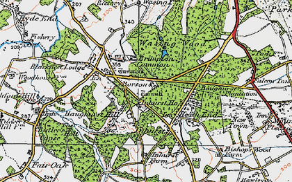 Old map of Haughurst Hill in 1919