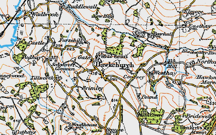 Old map of Hawkchurch in 1919
