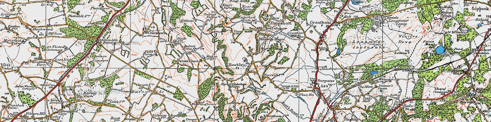 Old map of Hawkley in 1919