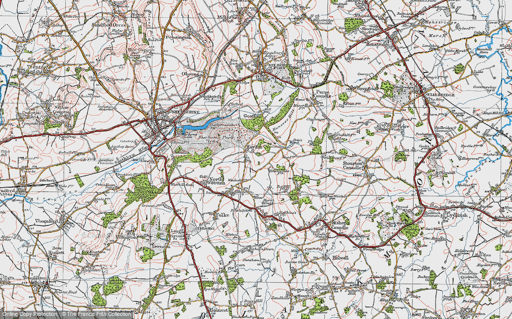 Old Map of Haydon, 1919 in 1919