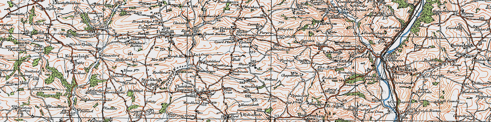 Old map of Hayne in 1919