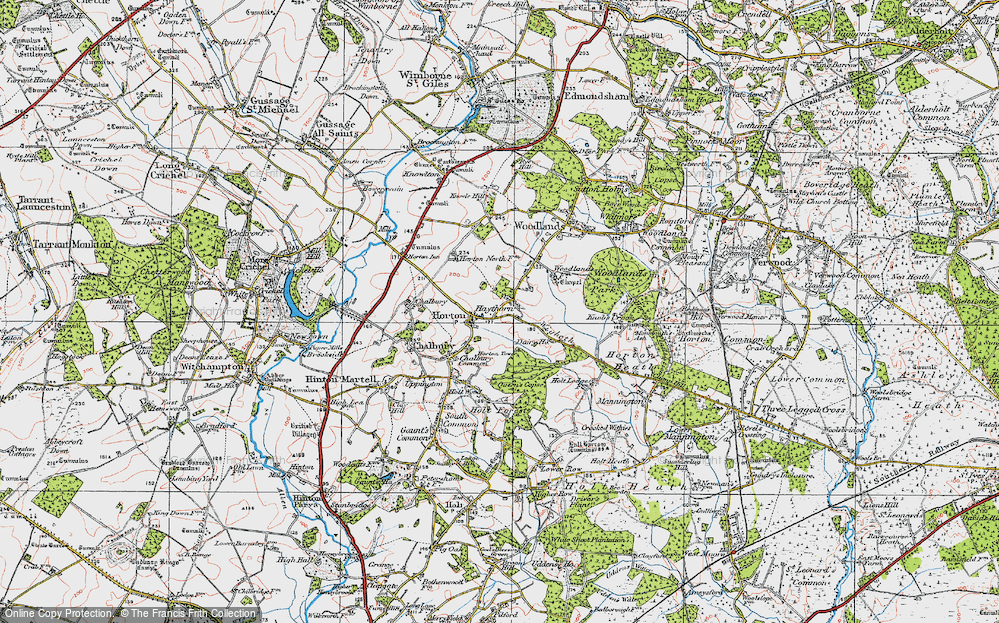 Old Map of Haythorne, 1919 in 1919