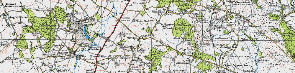 Old map of Haythorne in 1919