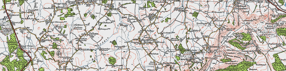 Old map of Hazelbury Bryan in 1919