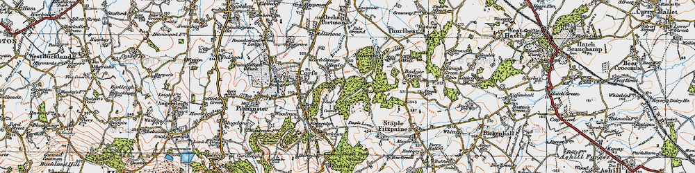 Old map of Lime Ridge Wood in 1919