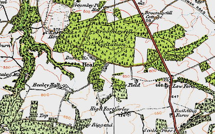 Old map of Broomleyfell Plantation in 1925