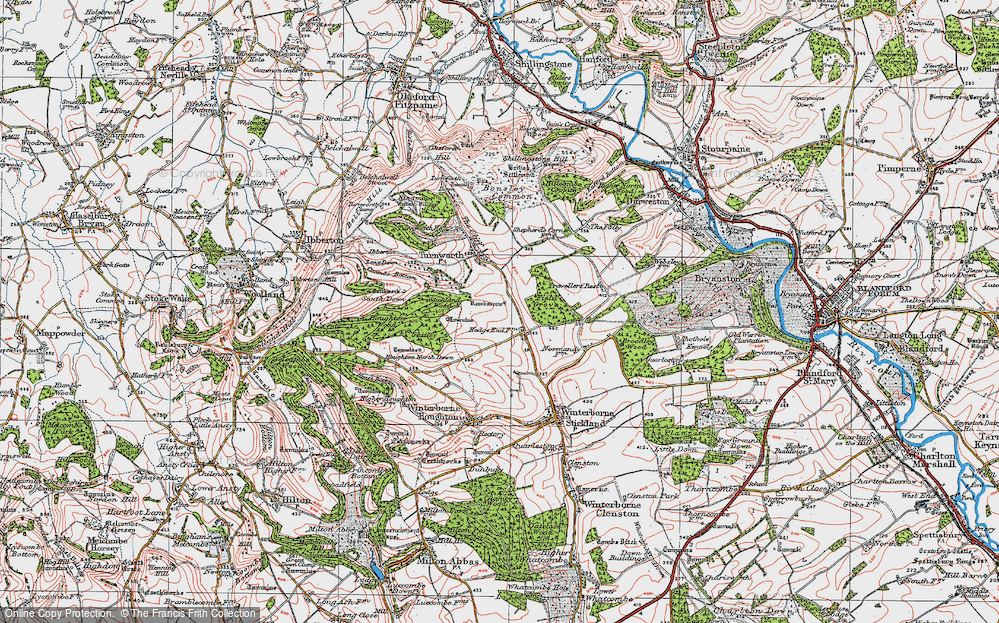 Old Map of Historic Map covering Broadley Wood in 1919