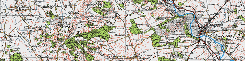 Old map of Broadley Wood in 1919