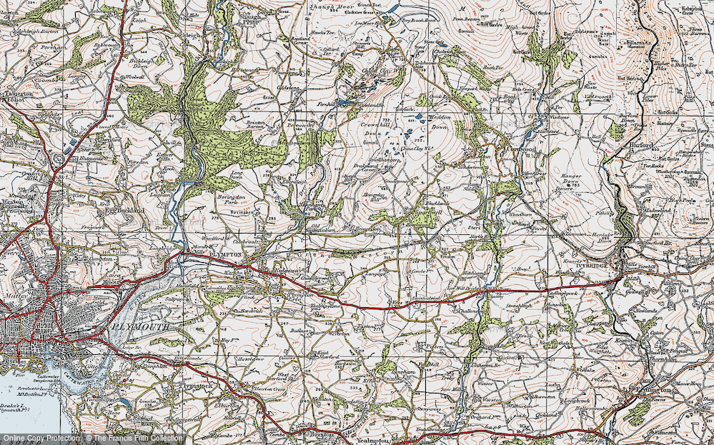 Old Map of Hemerdon, 1919 in 1919