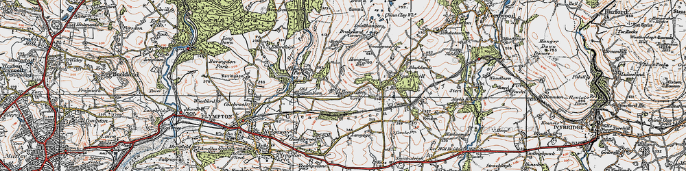 Old map of Hemerdon in 1919
