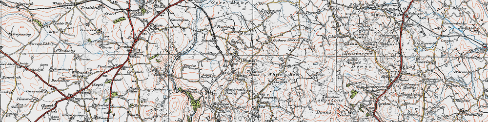 Old map of Trelavour Downs in 1919
