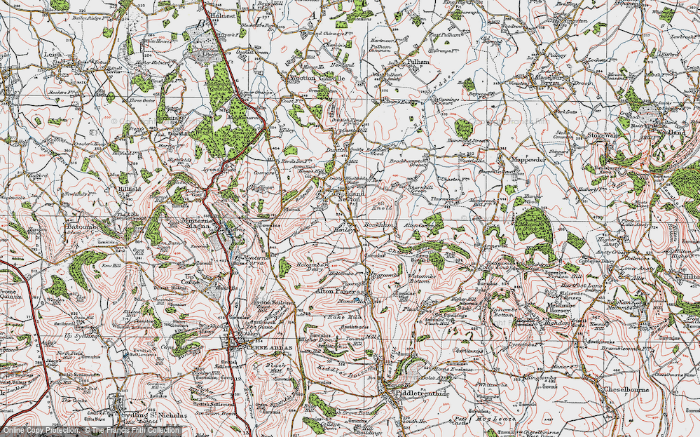 Historic Ordnance Survey Map Of Henley, 1919 - Francis Frith