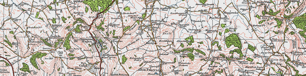 Old map of Bladeley Hill in 1919
