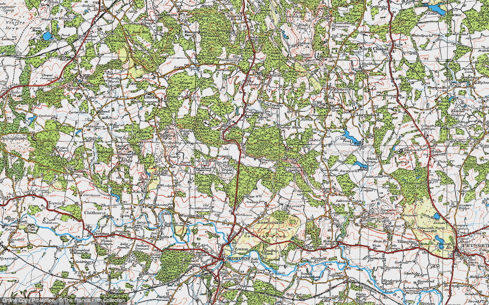 Henley, 1919