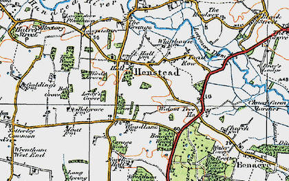 Old map of Benacre Wood in 1921