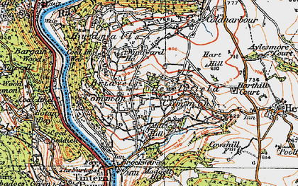 Old map of Hewelsfield Common in 1919