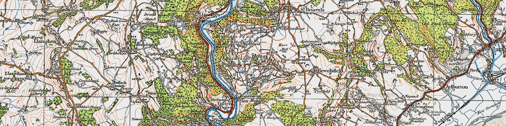 Old map of Hewelsfield Common in 1919