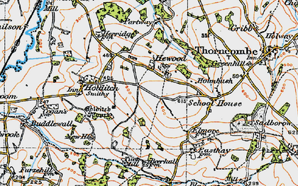 Old map of Hewood in 1919