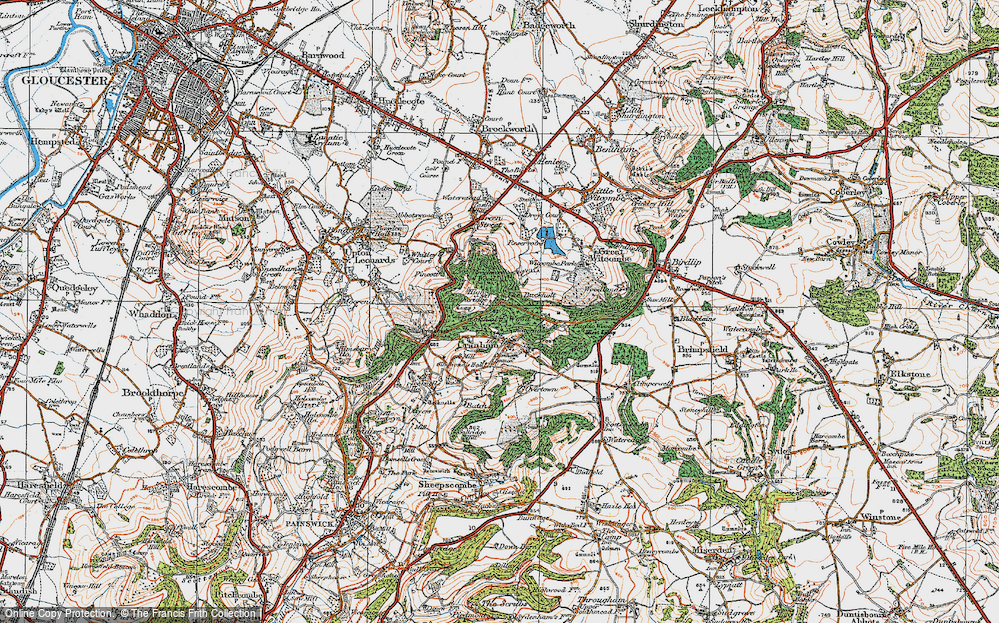 Old Map of Historic Map covering Buckholt, The in 1919