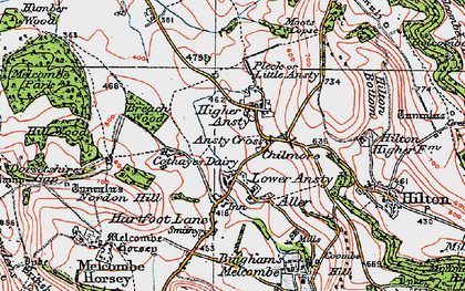 Old map of Higher Ansty in 1919