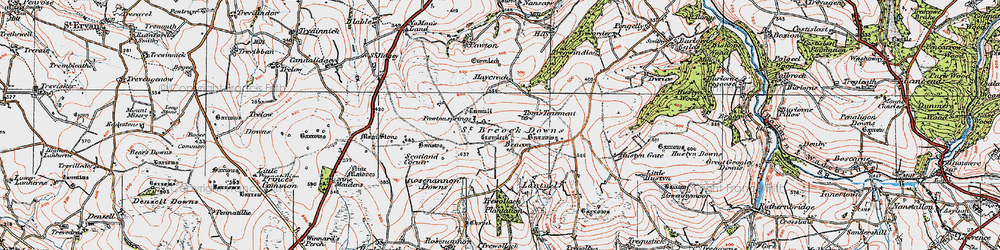 Old map of Higher Cransworth in 1919