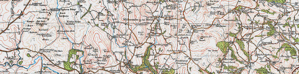Old map of Higher Dunstone in 1919