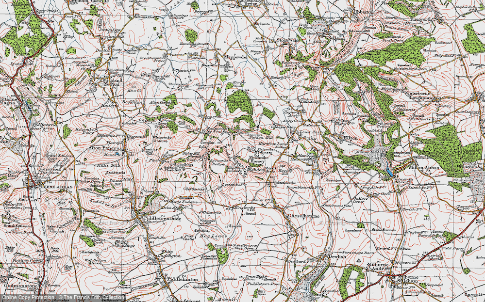Old Map of Higher Melcombe, 1919 in 1919