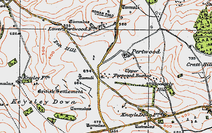 Old map of Bockerly Hill in 1919