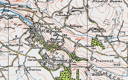 Old map of Higher Tolcarne in 1919