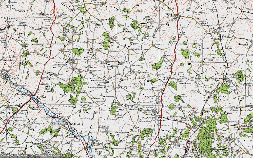 Old Map of Hillgreen, 1919 in 1919