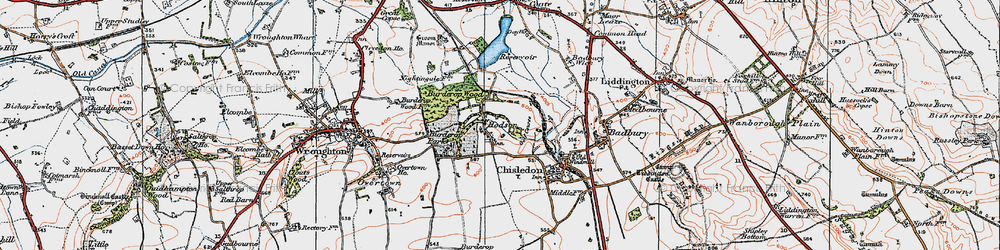 Old map of Burderop Wood in 1919