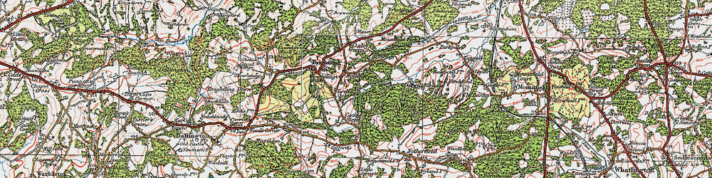 Old map of Hollingrove in 1920