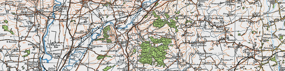 Old map of Ashclyst Forest in 1919