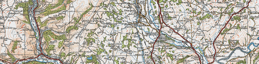 Old map of Hollybush in 1919