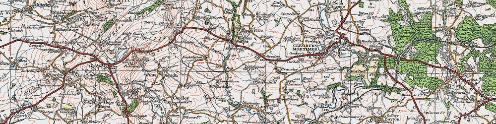 Old map of Bransley in 1921
