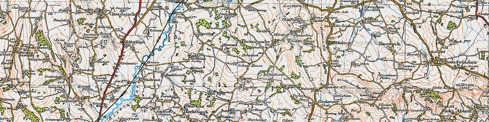 Old map of Holmbush in 1919
