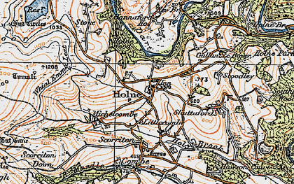 Old map of Holne in 1919