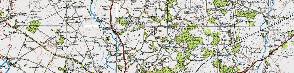 Old map of Holt in 1919